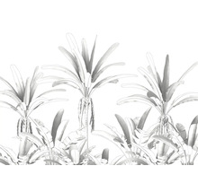 Illustration de palmiers et de plantes tropicales