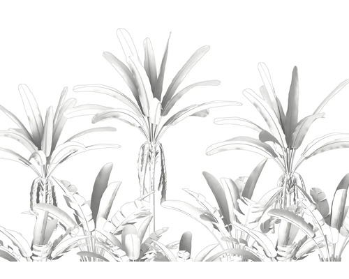 Illustration de palmiers et de plantes tropicales