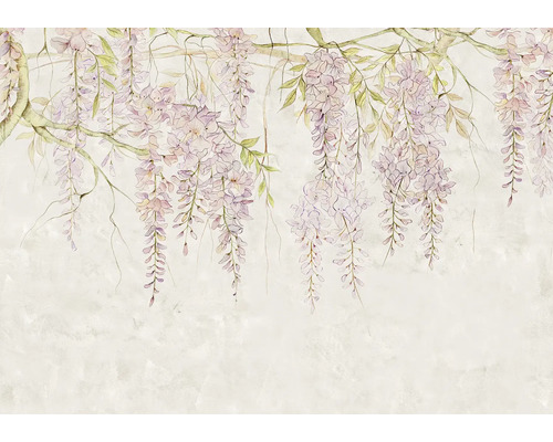 Illustration de fleurs de glycine sur des branches