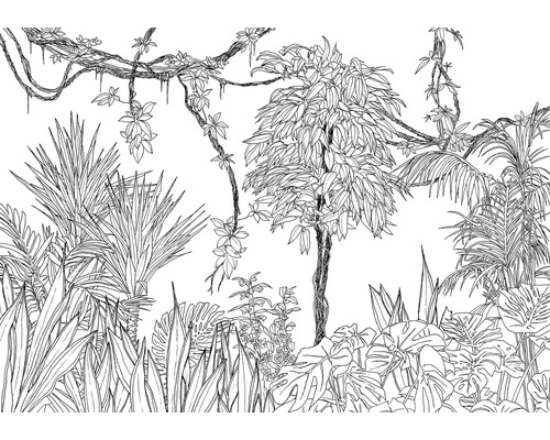 Illustration d'une scène de jungle tropicale avec diverses plantes