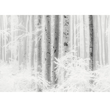 Paysage hivernal avec arbres et neige