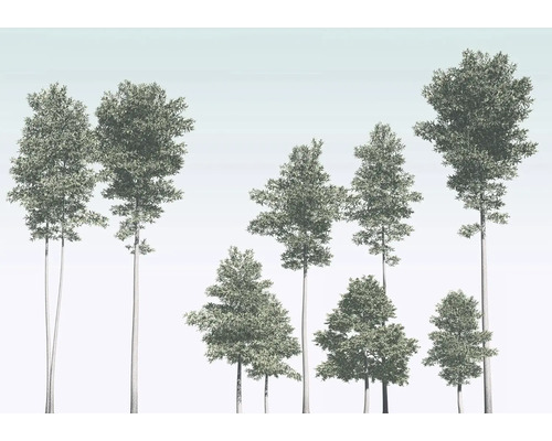 Illustration de différents arbres à feuilles caduques