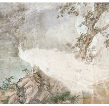 Papier peint décoratif avec motif de paon et représentation d'arbre
