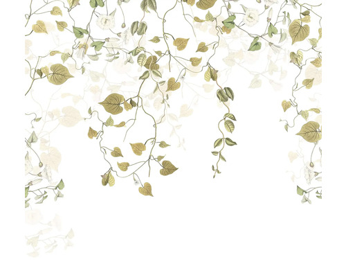 Papier peint avec motif de plantes