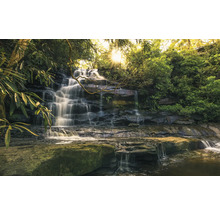 Cascade en forêt avec une végétation luxuriante