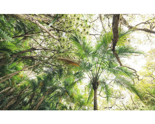 Papier peint panoramique intissé SHX9-128 Touch the Jungle 9 pces 450 x 280 cm Vue de dessous d'arbres aux feuilles vertes