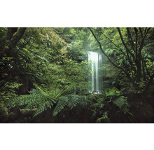 Cascade entourée d'une végétation dense