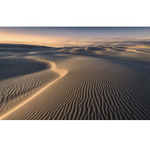 Dünenlandschaft mit Sandwellen