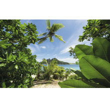 Paysage d'île tropicale avec palmiers et végétation sur la plage.