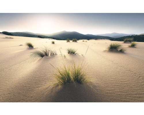 Papier peint panoramique intissé SHX9-091 Vivid Dunes 9 pces 450 x 280 cm Paysage de dunes de sable avec de l'herbe et des montagnes en arrière-plan