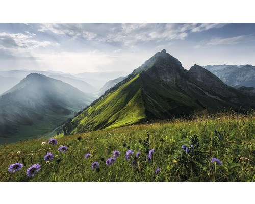 Berglandschaft mit Blumenwiese im Vordergrund