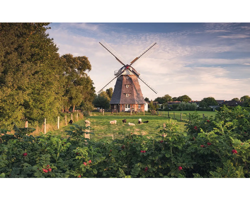 Moulin à vent dans un environnement rural avec des moutons dans le pré