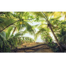Vue à travers les feuilles de palmier sur une plage de sable