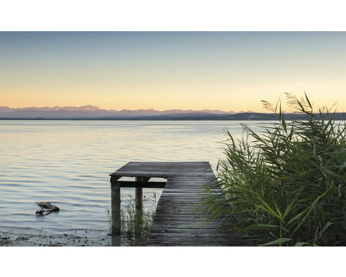 Holzsteg am See mit Schilf