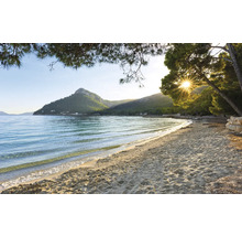Paysage de plage avec mer, sable et arbres