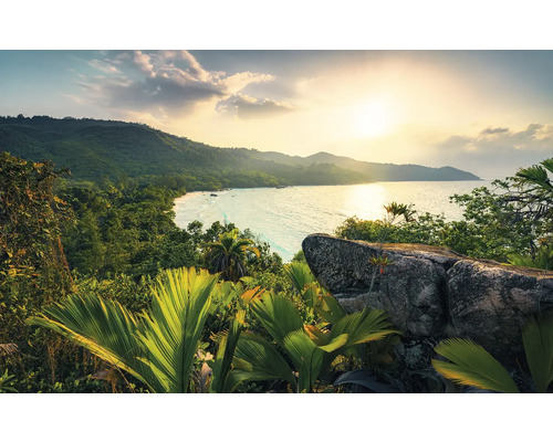 Paysage tropical avec vue sur la mer, végétation luxuriante et rochers