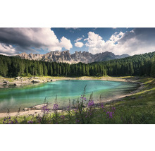 Paysage avec lac de montagne, forêt et chaîne de montagnes