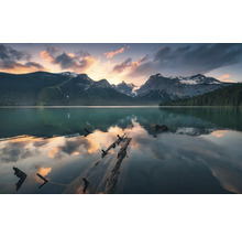 Lac de montagne avec des troncs d'arbres et un paysage montagneux