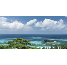 Paysage avec mer, îles et végétation