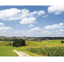 Paysage avec chemin de terre, champ de maïs et village sous un ciel bleu avec des nuages