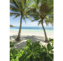 Vue de plage avec des palmiers et de la végétation