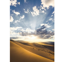 Paysage avec dunes de sable et rayons de soleil