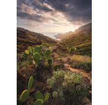 Landschaft mit Bergen, Meer und Kakteen