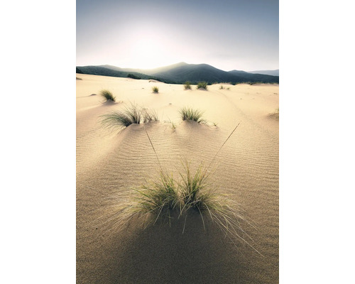 Papier peint panoramique intissé SHX4-091 Vivid Dunes 4 pces 200 x 280 cm Dunes de sable avec de l'herbe et des montagnes en arrière-plan