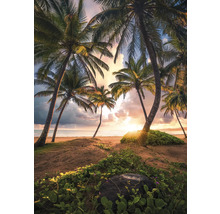 Scène avec des palmiers sur la plage au coucher du soleil