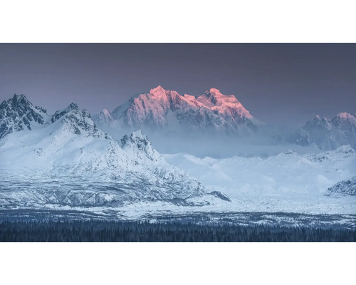 Landschaft mit schneebedeckten Bergen und Tannenwald im Vordergrund