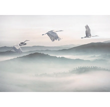Scène avec des grues en vol au-dessus d'un paysage de montagne brumeux