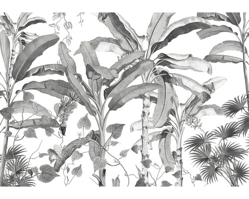 Illustration de plantes tropicales comme décoration murale