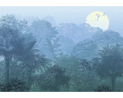 Papier peint intissé avec motif de forêt et lever de soleil