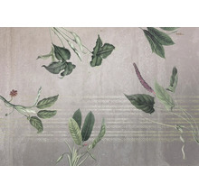 Papier peint décoratif avec motifs de plantes pour l'intérieur