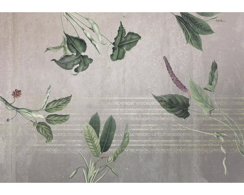Papier peint panoramique intissé INX8-050 Ink Tropic Concrete 8 pces 400 x 280 cm Papier peint décoratif avec motifs de plantes pour l'intérieur