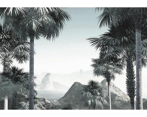 Papier peint panoramique intissé INX8-041 Ink Guanabara 8 pces 400 x 280 cm Papier peint avec palmiers et paysage de montagne
