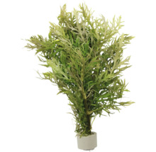 Künstliche Pflanze im Topf