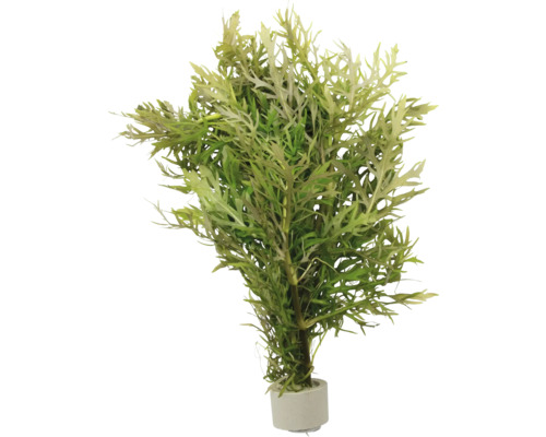 Künstliche Pflanze im Topf