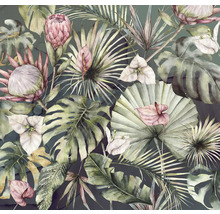 Illustration de diverses plantes tropicales