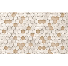 Panneau mural hexagonal avec structure en bois