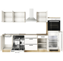 Küchenzeile mit Spüle, Geschirrspüler, Kochfeld, Dunstabzugshaube, Backofen und Kühlschrank