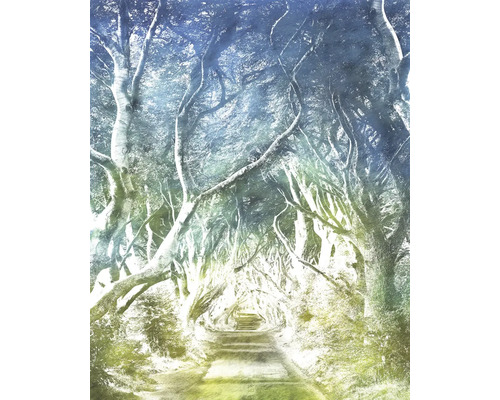 Allée d'arbres avec chemin