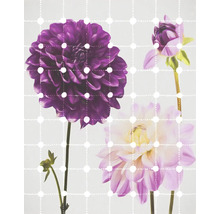 Image florale décorative avec motif à points