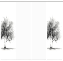 Tapete mit Birkenmotiv für die Wandgestaltung