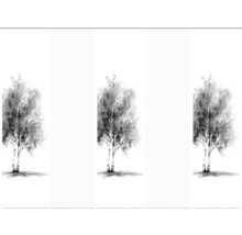 Tapete mit Birkenbaum-Motiv