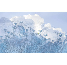 Papier peint avec motif floral et motifs d'oiseaux devant un ciel nuageux