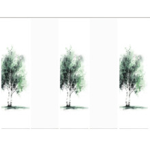 Tapete mit Birkenwald Motiv