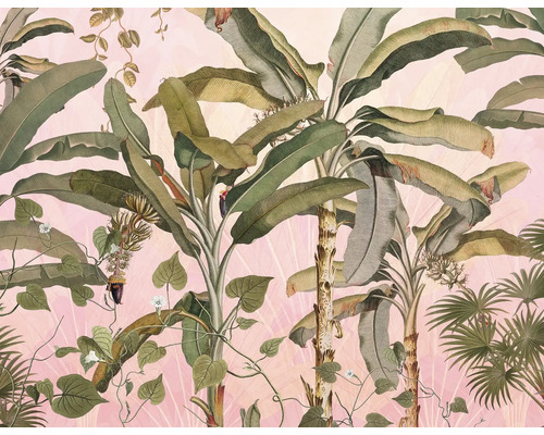 Papier peint avec motifs végétaux, y compris des bananiers