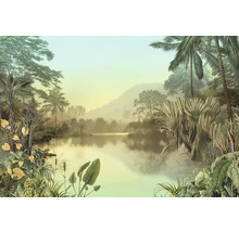 Paysage tropical avec lac et végétation dense
