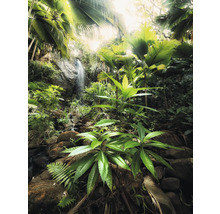 Dschungel mit Wasserfall und üppiger Vegetation